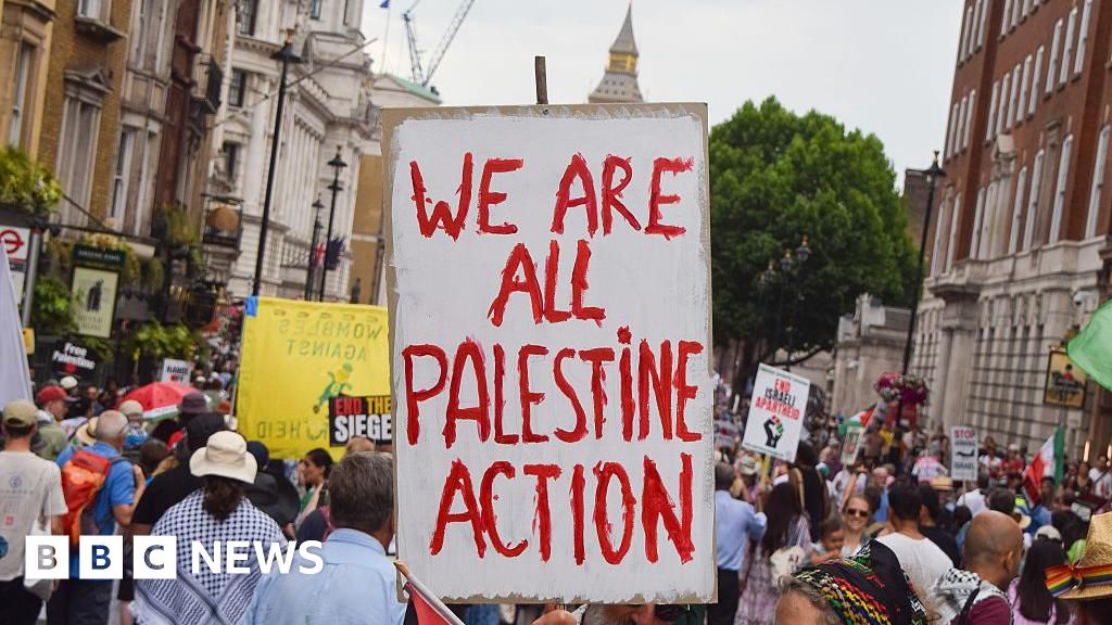 Met police chief ‘shocked’ by the planned protest of Palestine’s Action in London