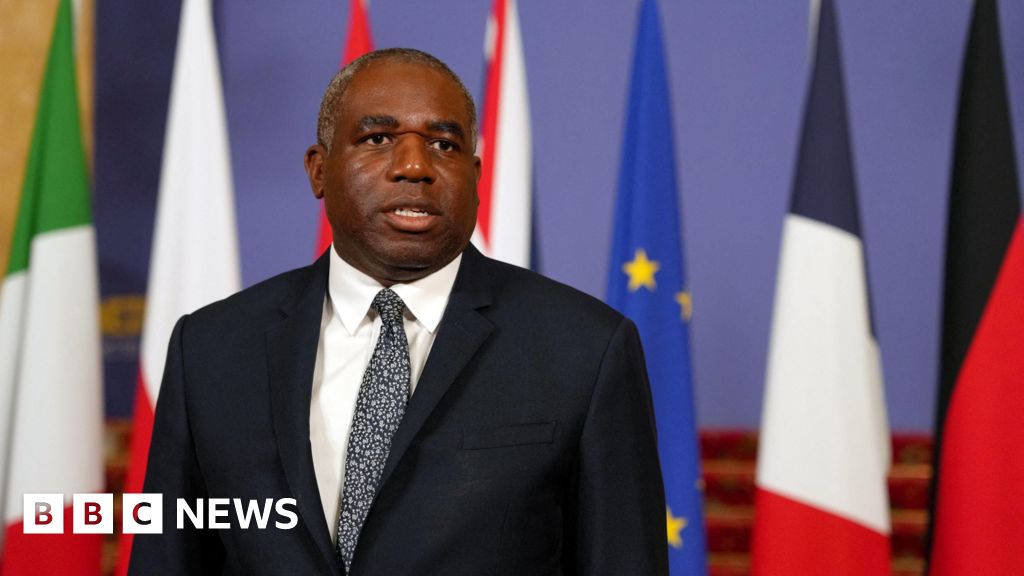 United Kingdom Preparation to Card Flights from Israel, says David Lammy