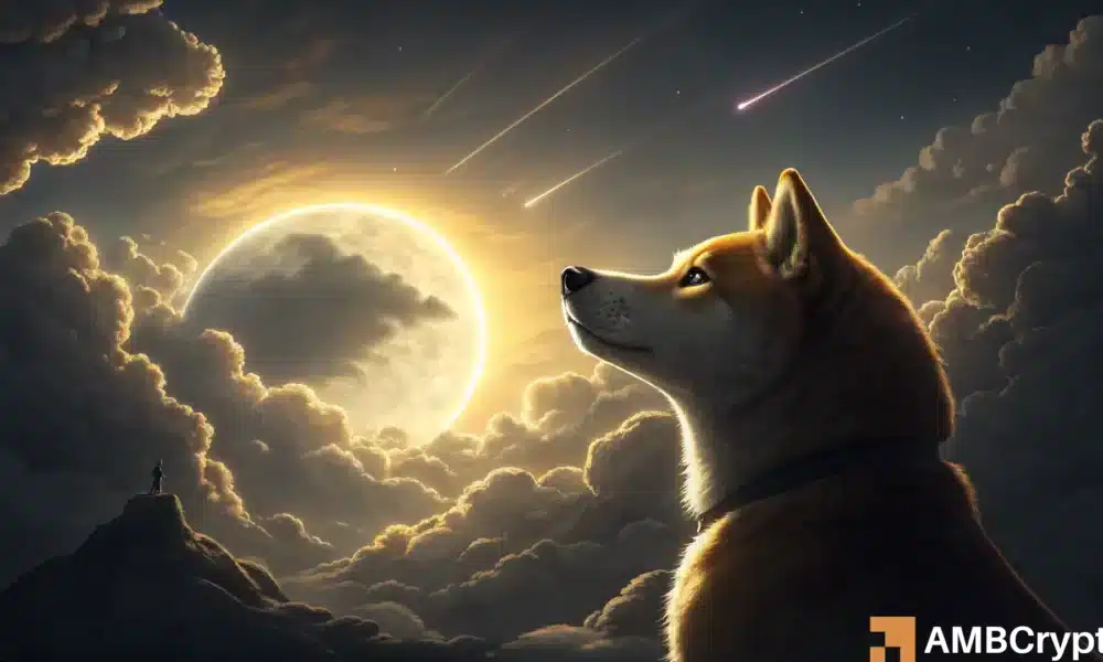 Dogecoin below 30%, Mirrorrs 2021 Structure: Prepare for a potential …