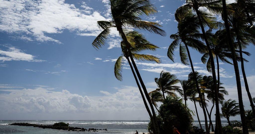 French scientists discover the new type of blood in Guadeloupe’s wife